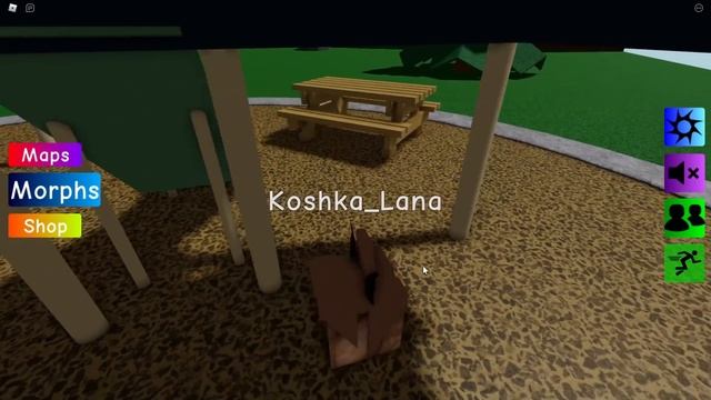 А КАКОЙ ТЫ ШЛЁПА? Roblox Find The Floppa Morphs смотреть онлайн