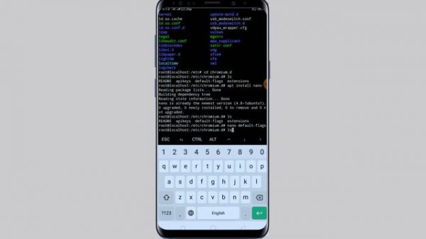 How to install chrome and Firefox browser in termux with GUI