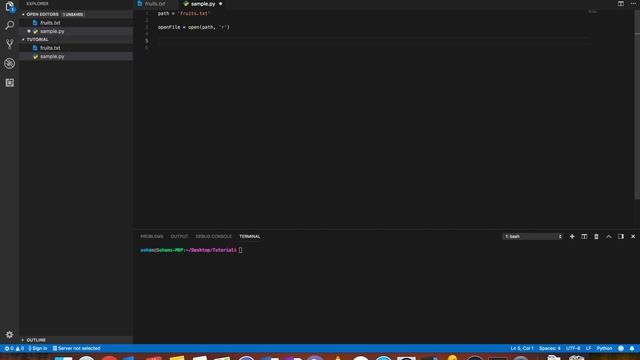 Reading a File in Python 3.6 смотреть онлайн