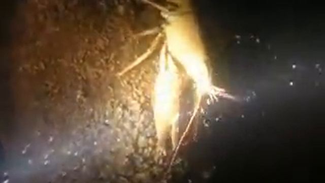 1000 und eine Nacht смотреть онлайн