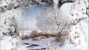 Зима. Зимние картинки