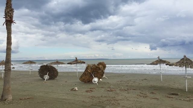 Рейс ГТК "Россия" - посадка в а/п Ларнака смотреть онлайн