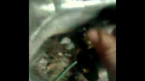 як поставити маслонасос на хонду діо 18 27