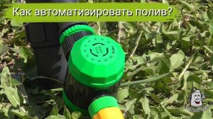 Капельный полив  - какой лучше?