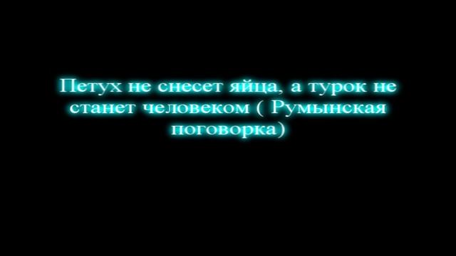 Всемирные поговорки о турках! смотреть онлайн