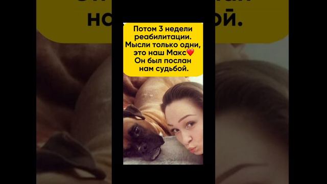 Любите животных. Ведь мы для них весь мир❤️ смотреть онлайн