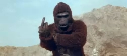 King Kong Fucks you ! смотреть онлайн