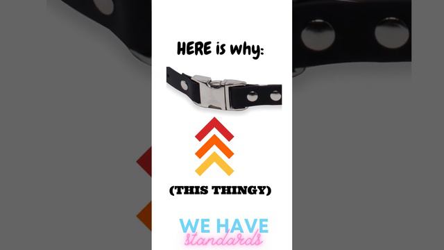 This ECollar Accessory Was A Game Changer For Our Standard Poodle!