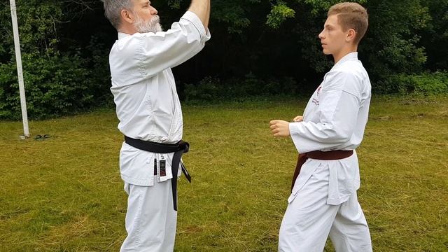 Shotokan kata Heian Nidan. Dormenko Andrey 8 dan ISKF смотреть онлайн
