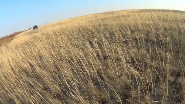 6) 15.05.2015 г. Один чирок.mov смотреть онлайн