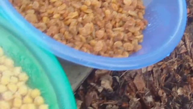 Как Ахат плов для 2-х голодных байкеров готовил... смотреть онлайн