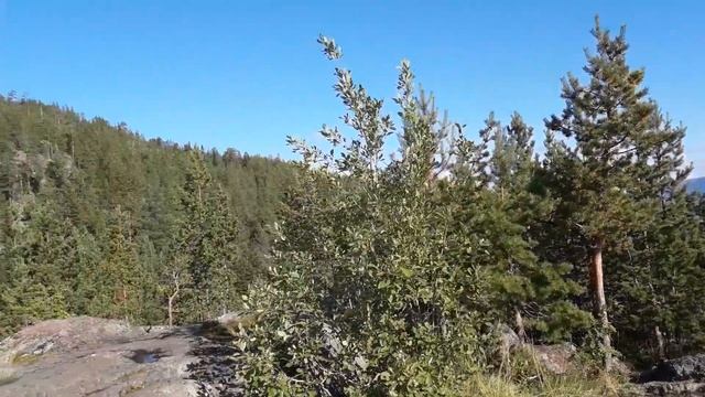 Кандалакшский залив Белого моря. Круговая панорама. смотреть онлайн