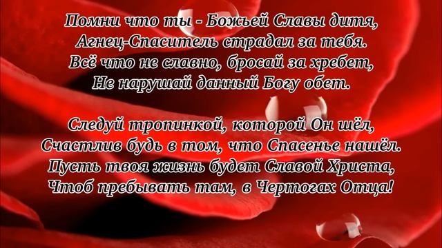 Поздравление. Елена Ваймер смотреть онлайн