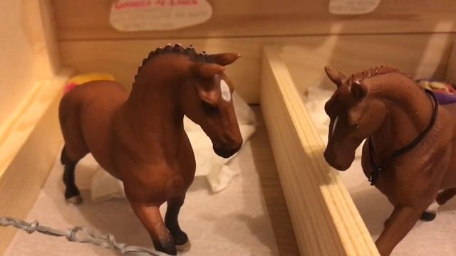 Типы лошадей шляйх (и не только...) смотреть онлайн