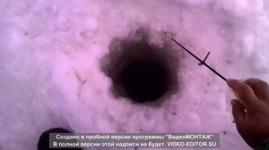 Ловля леща зимой на Сурском водохранилище.Лещ проголодался.