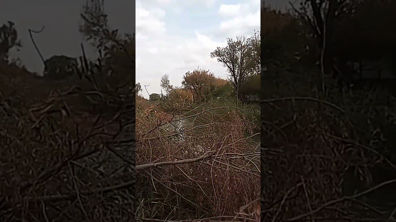чистка реки 2 смотреть онлайн