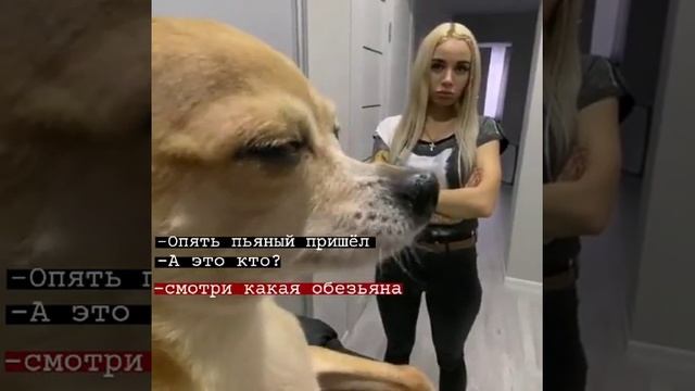 Смотри какая обезьяна))) смотреть онлайн