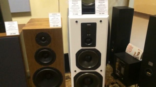 Акустика Dynavoice в салоне Cinemascop - Часть 1