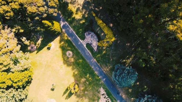 SkyHigh Mt dandenong - dandenong rangers Melbourne Victoria Australia смотреть онлайн