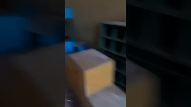 Заброшенный пионерский лагерь (Чайка) смотреть онлайн