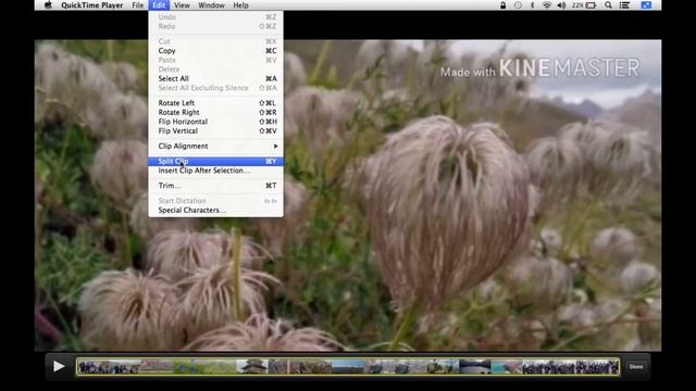 How To Easily Spilt Video From Quick Time Player From ? Mac#spilt #videos #quickapp .