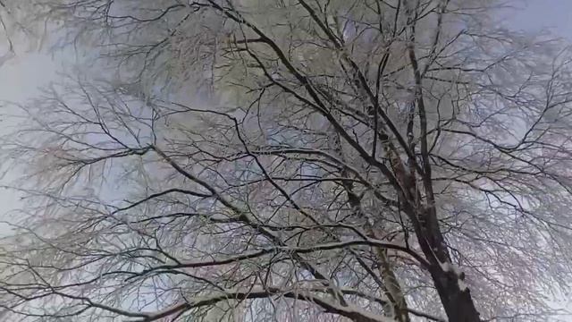 Зима в деревне/Живём как в СКАЗКЕ/ ВСЯ ДЕРЕВНЯ В ХРУСТАЛЕ! смотреть онлайн