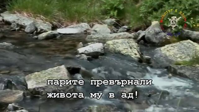 Лягушка (Жабка - превод) смотреть онлайн