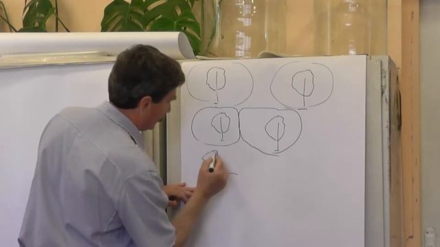 Биолокация биополей деревьев. смотреть онлайн