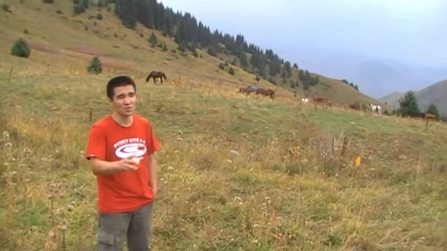 Кок-Джайляу в 2009 году смотреть онлайн