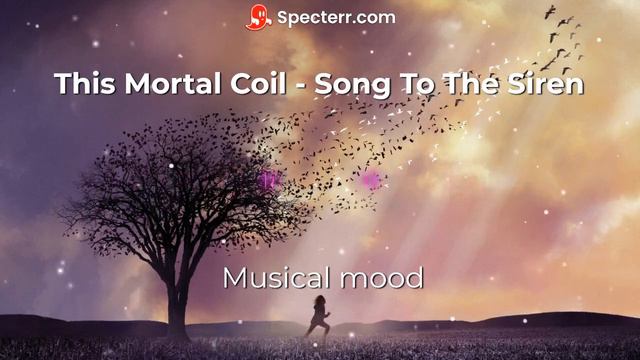 This Mortal Coil -Song to the Siren(Фильм Милые кости ) смотреть онлайн