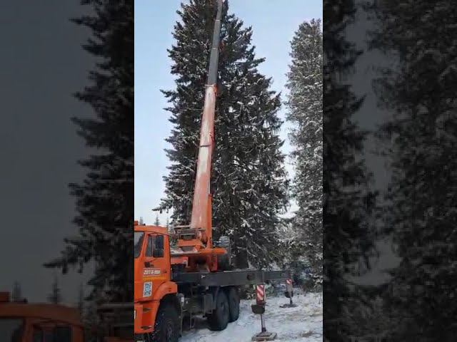 Главная ёлка Екатеринбурга смотреть онлайн