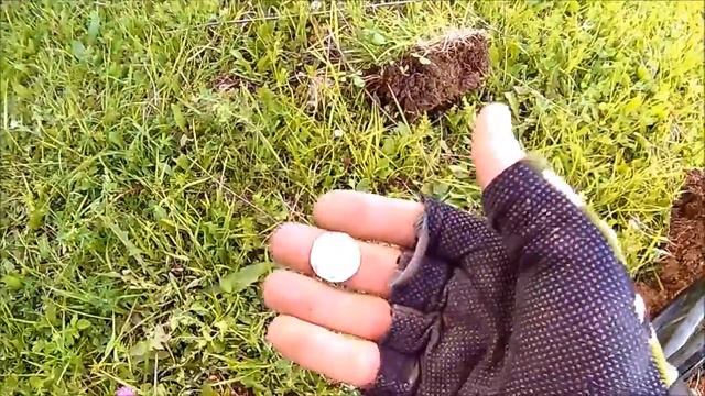 Вещий сон - гривенник Елизаветы!