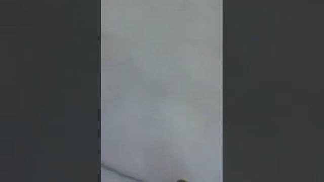 Огромный лед толщиной 20см смотреть онлайн