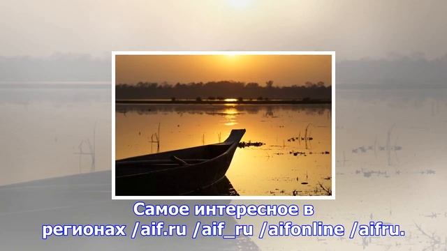 К берегам японии на деревянной лодке приплыли восемь скелетов смотреть онлайн