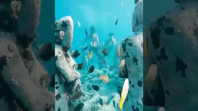 Подводный парк скульптур на острове Гили Мено в Индонезии. смотреть онлайн