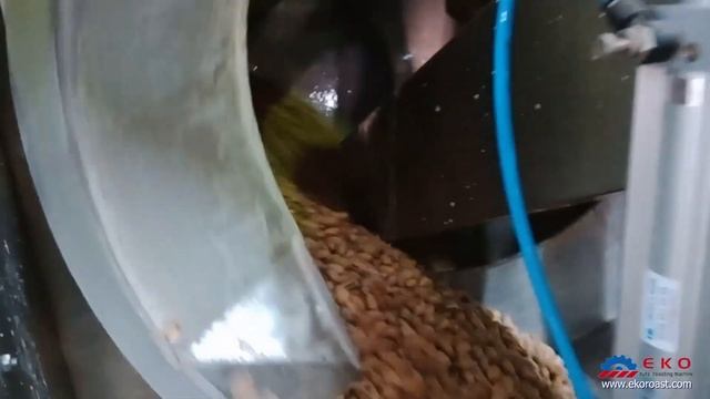 EKO 500 Pistachio roasting machine смотреть онлайн