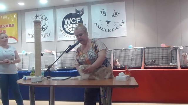 Американкий кёрл. DODGE MAGNUM VOLGASTYLE. Часть 2.