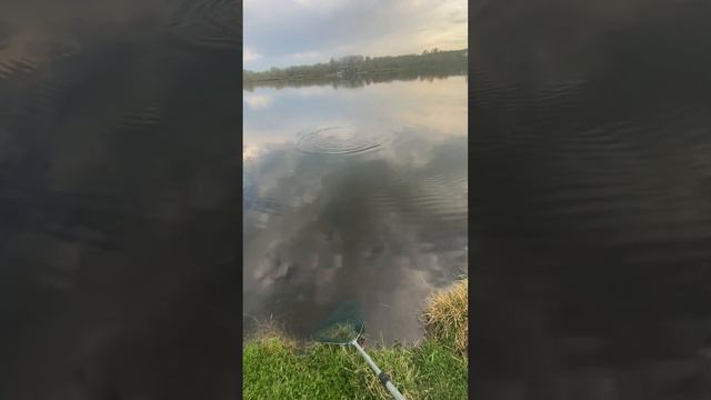 Волшебство пустыни