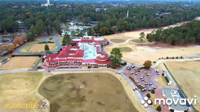 Bebe Rexha Free Love(music)#Мопс#подпишись❤