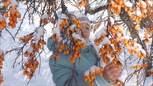 Зимняя ягода смотреть онлайн