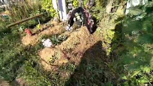 Кладбище Осиновая гора Шуя.mp4 смотреть онлайн