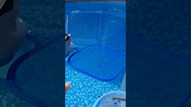 Converting Coleman pool to Intex sand pump. 1.25 (1 7) to 1.5 (1 /2). And Intex bucket skimmer. смотреть онлайн