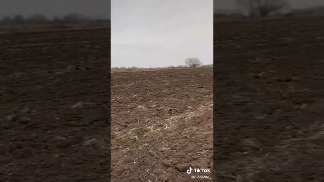 это было не понятно