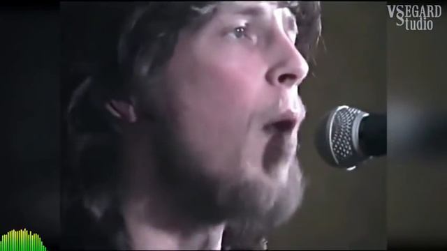 Человек и кошка (группа 