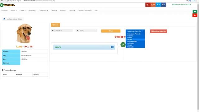 Sistema Veterinaria US - PHP Mysql смотреть онлайн