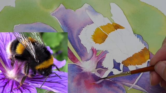 Art exercises by email - Bee in Watercolour by Alison Showell смотреть онлайн