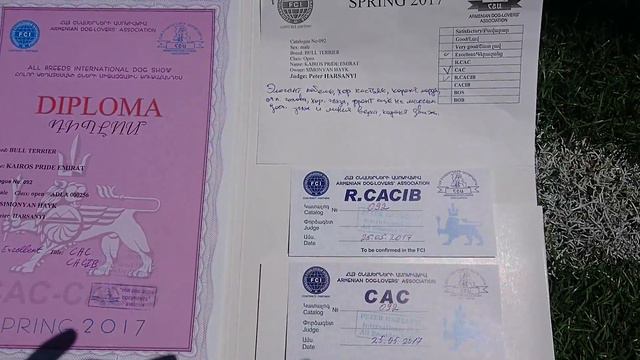 Armenia Yerevan 🇦🇲 2017 ADLA-FCI Excellent CAC R.CACIB Expert Peter Harsanyi смотреть онлайн