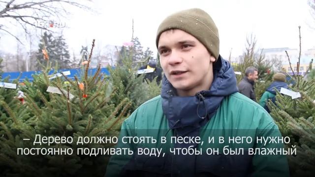 Готовимся к Новому году: выбираем елку смотреть онлайн