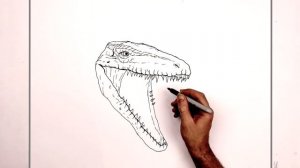 How To Draw Mosasaurus | Step By Step | Jurassic World