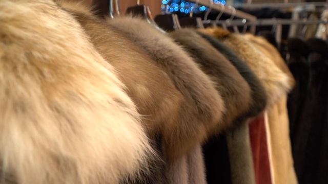 Выставка Шуб в Новом Уренгое Angelina SEM смотреть онлайн